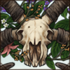 Overgrown Jacob’s Sheep Skull