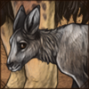Japanese Serow Calf