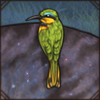 Little Bee-Eater
