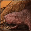 Naked Mole Rat