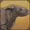 Orphaned Baby Rhino