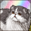 Purring Persian
