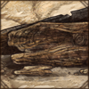 Petrified Wood
