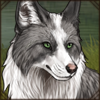 Platinum Fox