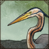 Purple Heron