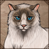 Ragdoll Queen