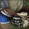 Raptor Bracers [Drake]