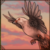 Réunion Pink Pigeon