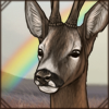 [GE - Balkans] Roe Deer