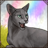 Purring Russian Blue