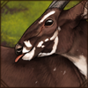 [GE - Vietnam] Saola