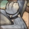 Seal Teeth Anklet