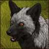 Silver Fox