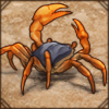 Socotra Freshwater Crab