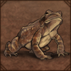 Toad