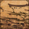 Wallow Clutter