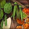 Water Carrier Bundle