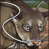 Dragon Whiskers [White]
