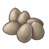 Bird Eggs