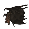 Fruit Bat Carcass