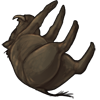Drowned Warthog