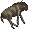 Drowned Wildebeest