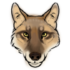 Golden Jackal