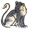 Splendor Markings