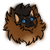 Tonkinese Fur
