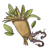 Bundle of Herbs