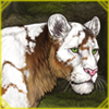 Mutie On Demand: Piebald (Wrapped)